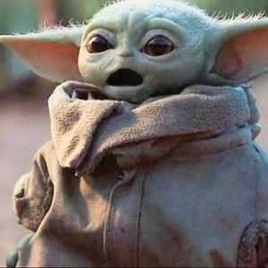 Meet your Posher, Miguel